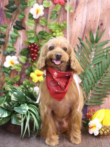 20230803紋之助くん